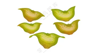 果蔬 菱角 卡通 插图