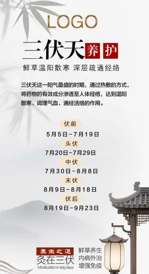 国风古典简约三伏天海报
