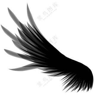 简约效果黑色羽毛翅膀免抠图片素材