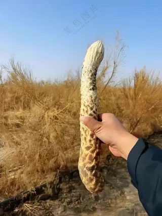 微信图片_20250519112551