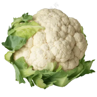 一颗花球紧实的松花菜免抠图片素材