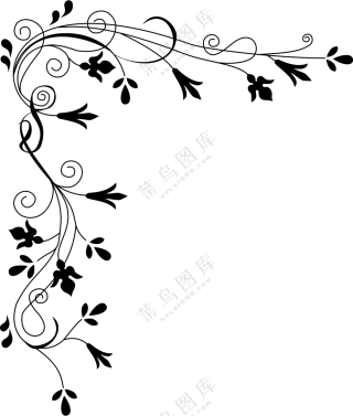 黑白植物藤蔓装饰元素免抠图片素材