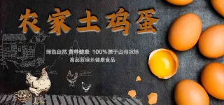 黑色农家土鸡蛋画面设计