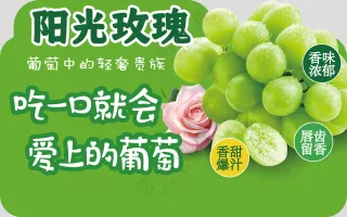 葡萄异形立牌图片