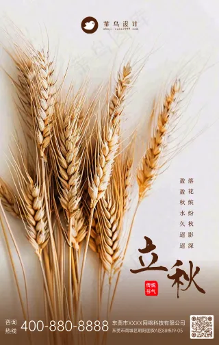 立秋手机海报