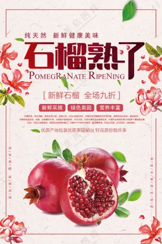 石榴熟了海报