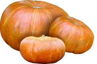 放在一起的三个大南瓜免抠图片素材