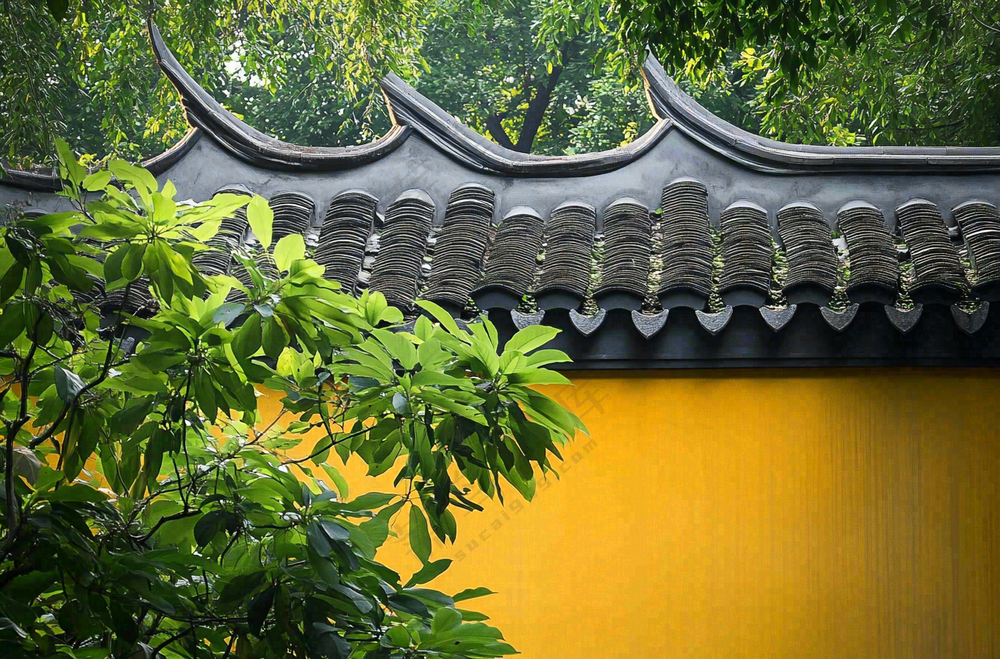 中式庭院屋檐绿植环境摄影图