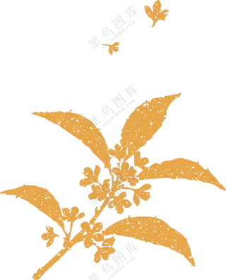 桂花树插图