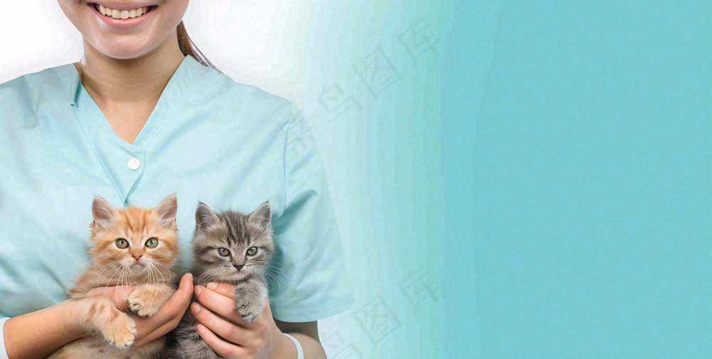 宠物医院猫狗生病救治摄影图