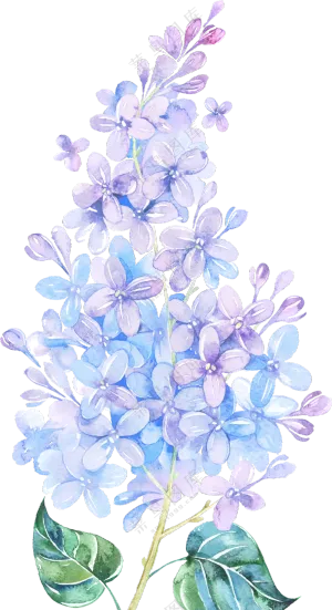 蓝紫色的花朵水彩手绘创意免抠素材