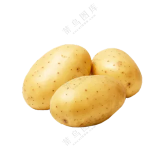 几个表皮干净的马铃薯免抠图片素材