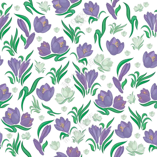 白色花朵与紫色的花卉植物免抠图片