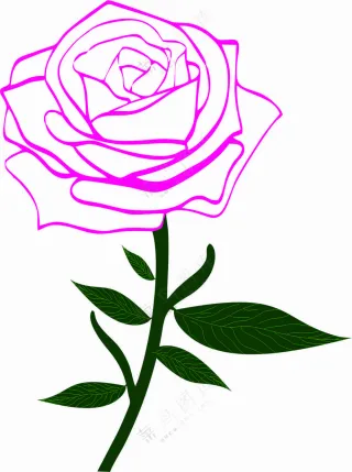 玫瑰矢量图