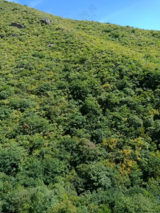 风光 自然 山丘