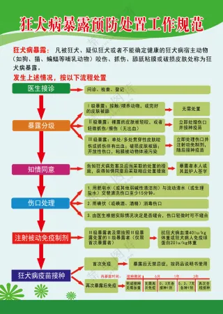 狂犬病暴露处理规范