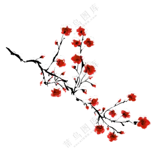 树枝上开出的红色梅花绘画免抠图片