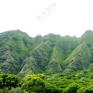 高山植被与茂密的树林免抠图片素材