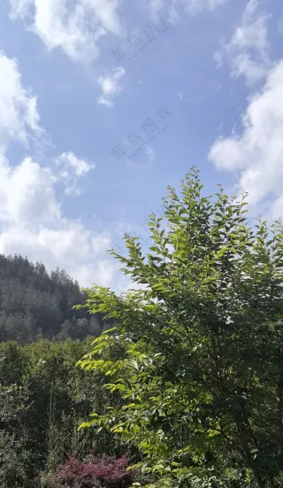 那是家的方向