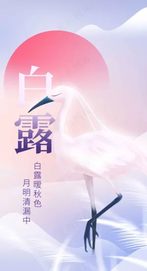 白露节气传统活动海报