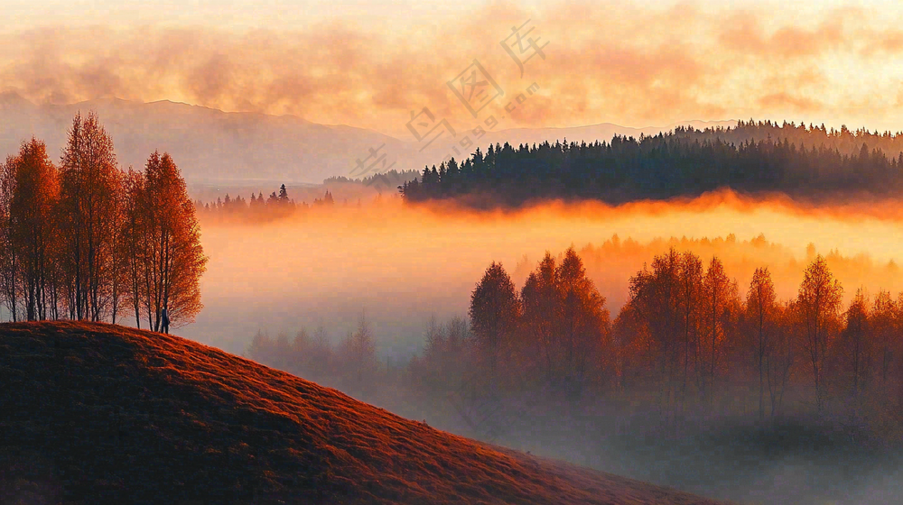 秋天风景夕阳日出云雾森林摄影图