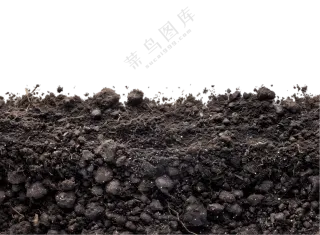 黑黝黝的肥沃土壤特写