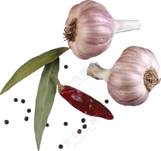 大蒜香叶与干辣椒主题免抠图片素材