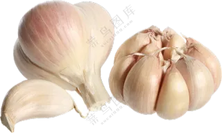 优选品质的大蒜与蒜瓣免抠图片素材