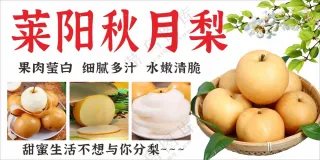 秋月梨图片