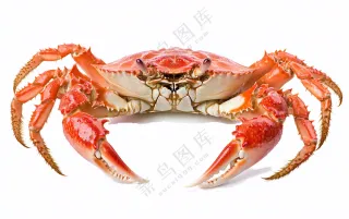 螃蟹海鲜摄影图