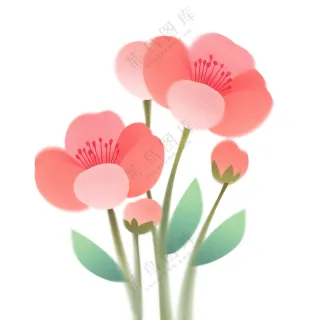 花花  免扣素材