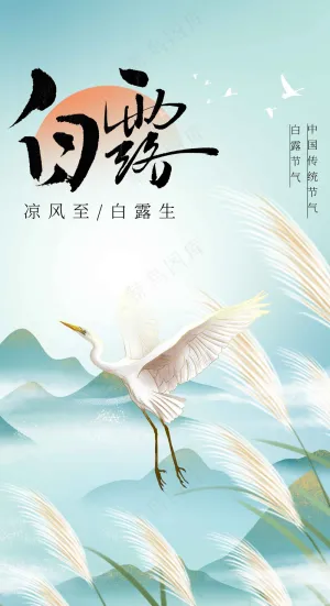 白露节气传统活动海报