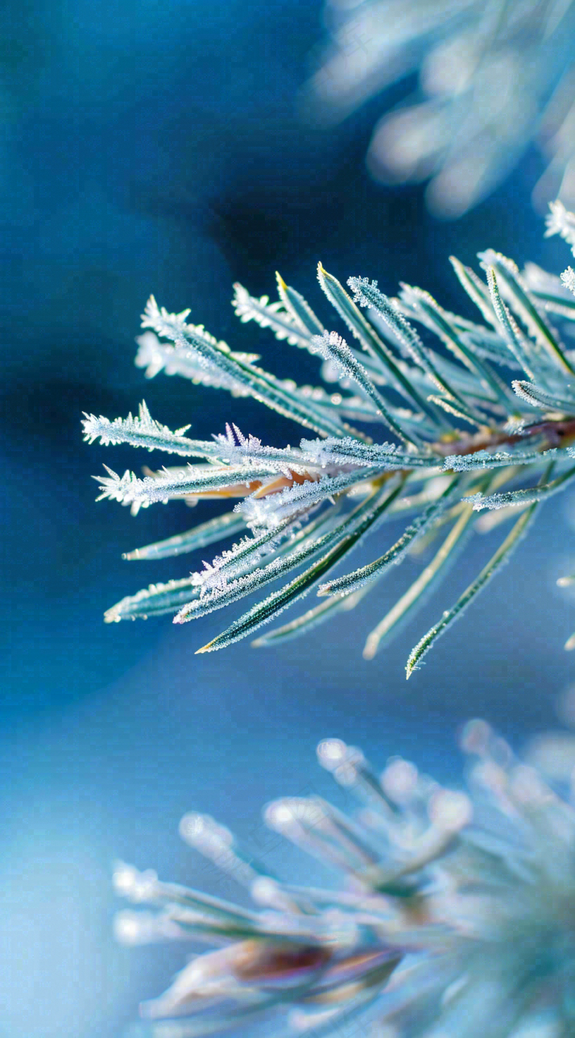 冬天寒冷白雪结冰小寒摄影图