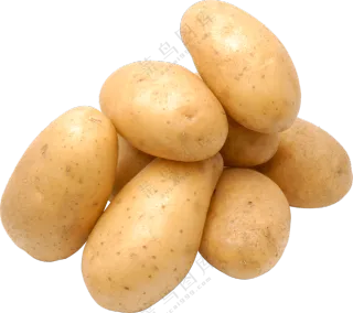 泛着光的新鲜优质土豆免抠图片素材