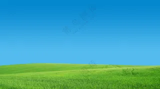 草地 蓝天 背景