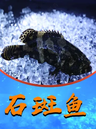 石斑鱼