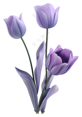 紫色郁金香插图