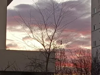 紫粉云让人的心里冒粉红色的泡泡