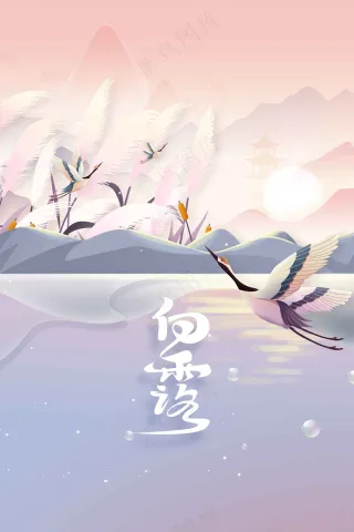 白露节气传统活动海报