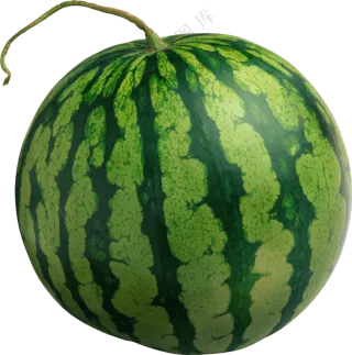 一只圆滚滚的西瓜主题免抠图片素材