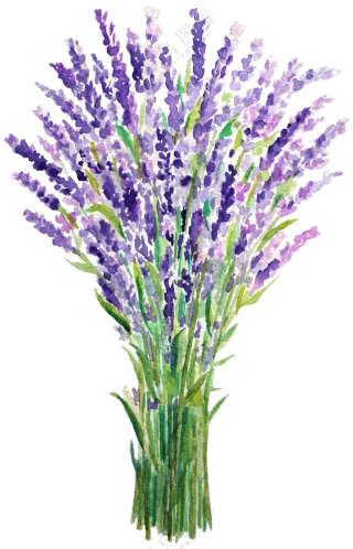 水彩手绘创意花束元素免抠图片素材