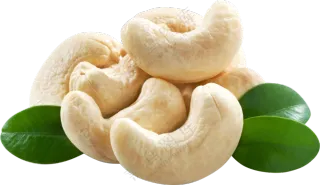 几片叶子装饰的腰果仁免抠图片素材