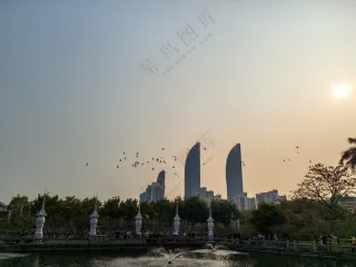 好运鸽飞舞下的美景