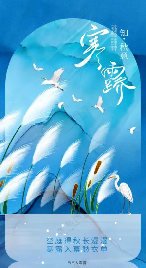 寒露节气传统活动宣传海报