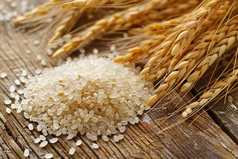 世界粮食日谷物米饭稻谷小麦摄影图