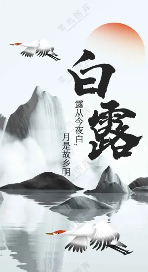 白露节气传统海报
