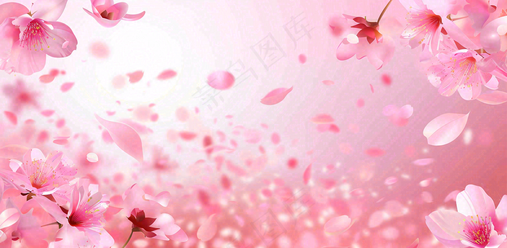 粉色樱花花瓣唯美妇女节春天摄影图