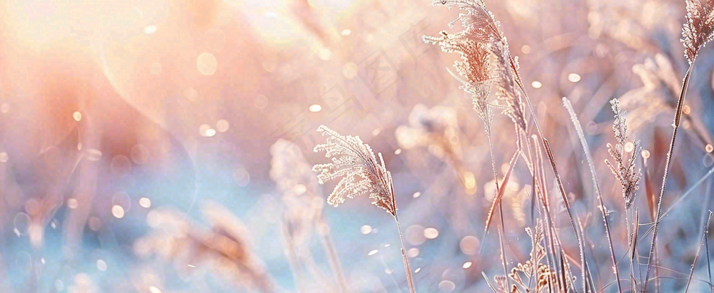 冬天下雪天的芦苇荡夕阳晚霞小雪大雪摄影图