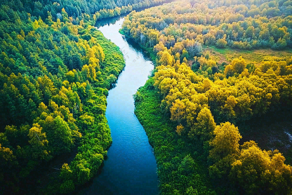 秋天立秋森林大自然风景摄影图