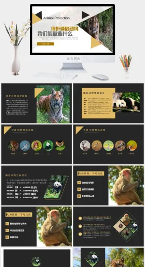 保护野生动物绿色环保PPT预览图